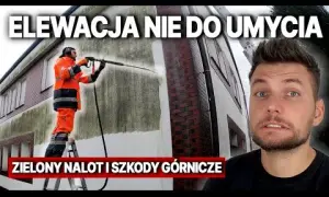 Jak skutecznie usunąć zielony nalot z elewacji – sprawdzone metody i porady